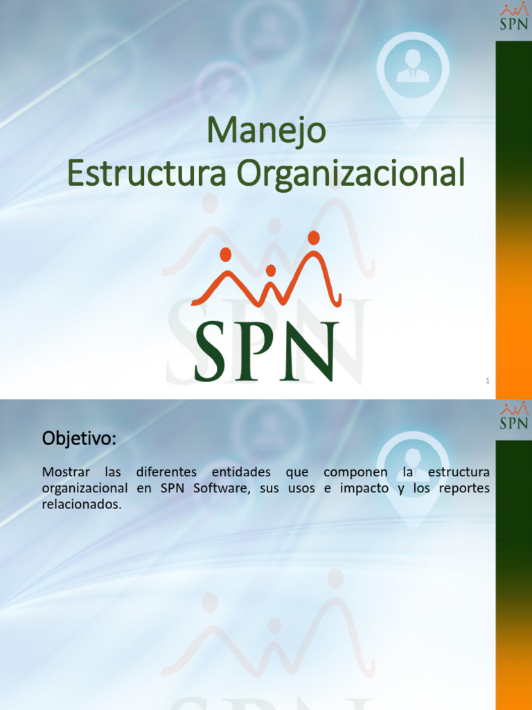Estructura Organizacional en SPN Software | PDF | Salario | Contabilidad