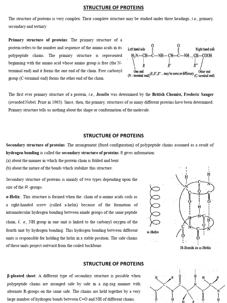 file (15) | PDF | Protein Structure | Proteins