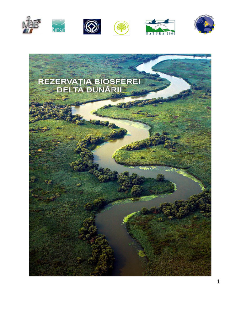 Brosura Prezentare RBDD LB Romana | PDF