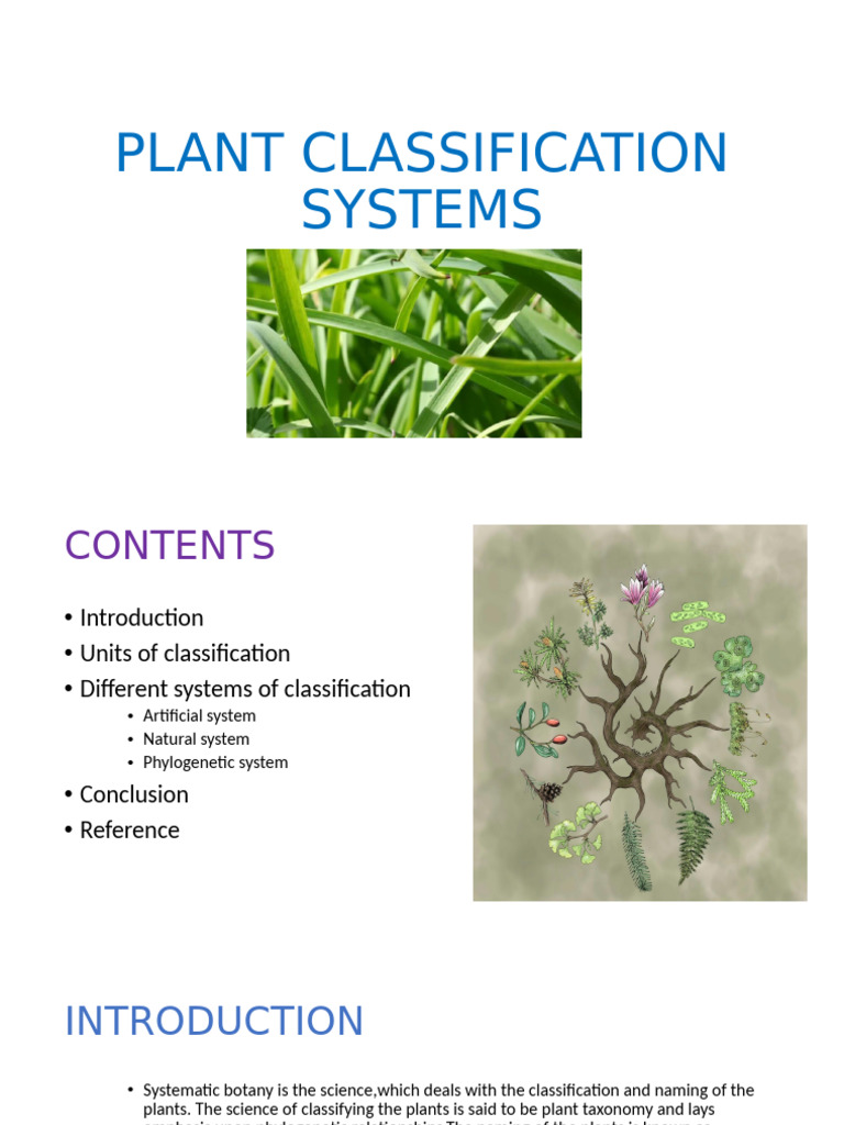 Plant Classification Systems (1) | PDF | Taxonomy (Biology) | Plant ...
