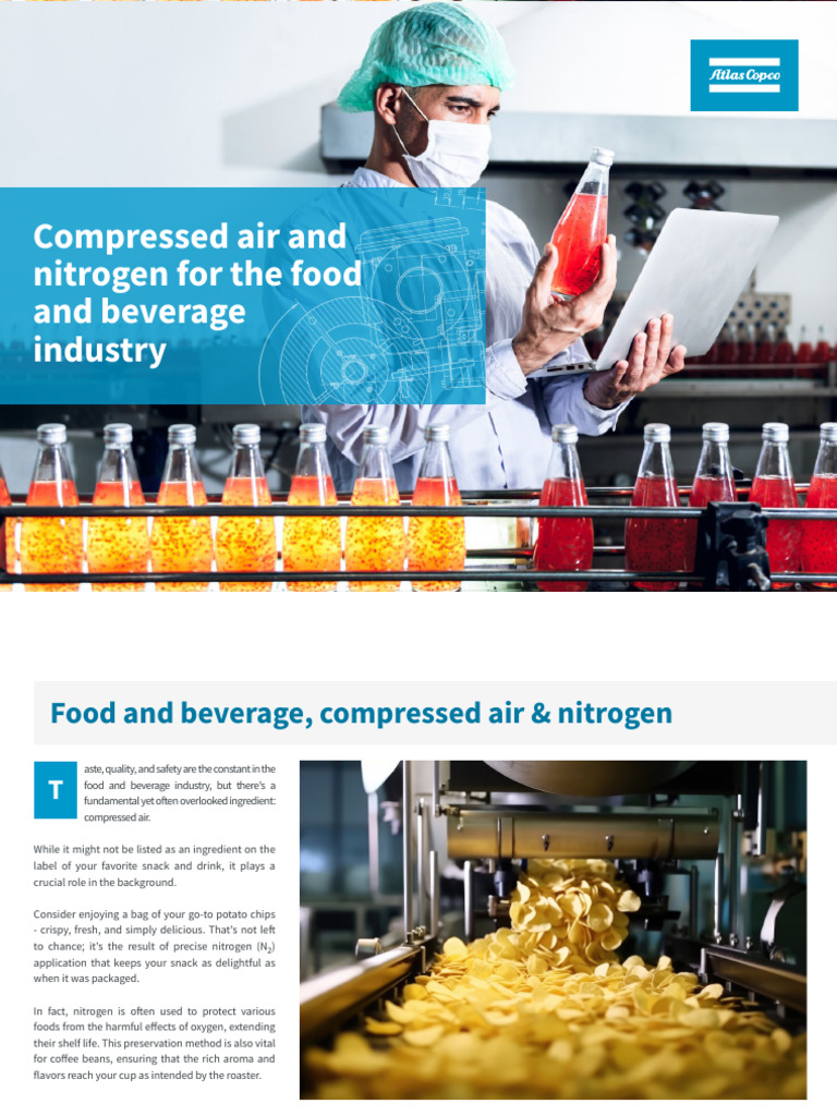 Compressed Air and Nitrogen For The Food and Beverage Industry en | PDF ...