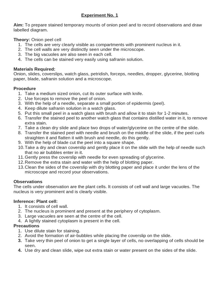 Experiment 1_Onion cell_Class9 | PDF | Staining | Cell (Biology)