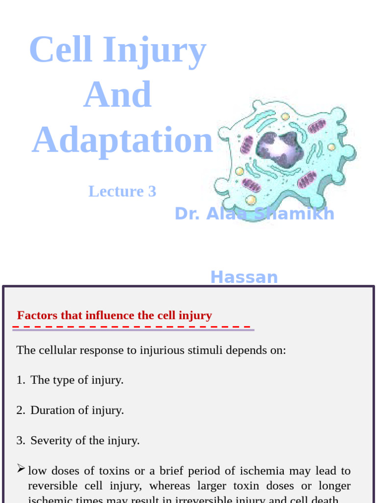 Cell Injury Mechanisms and Adaptations | PDF | Epithelium | Reactive ...