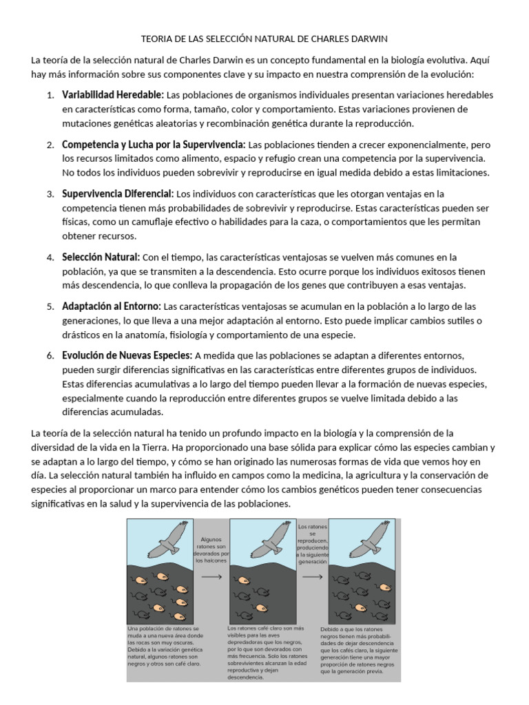 Teoria de Las Selección Natural de Charles Darwin | PDF | Seleccion ...