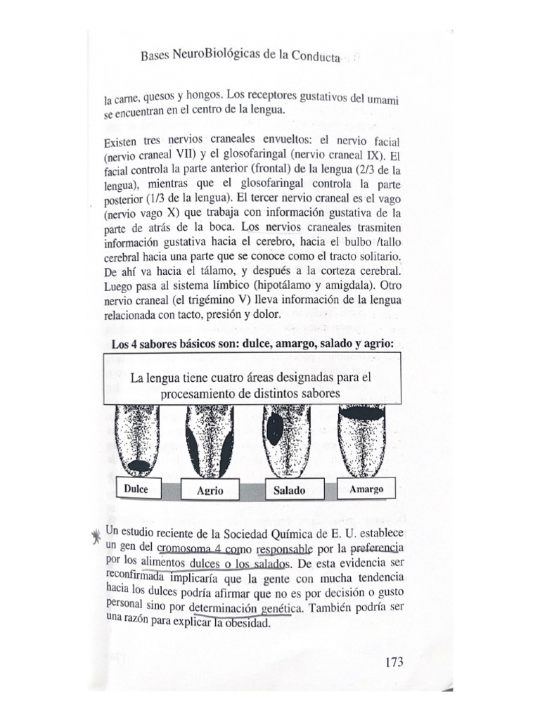 Lectura 2 Corregida | PDF