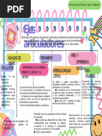 Infografía de Los Ejes Articuladores de La Nem | PDF