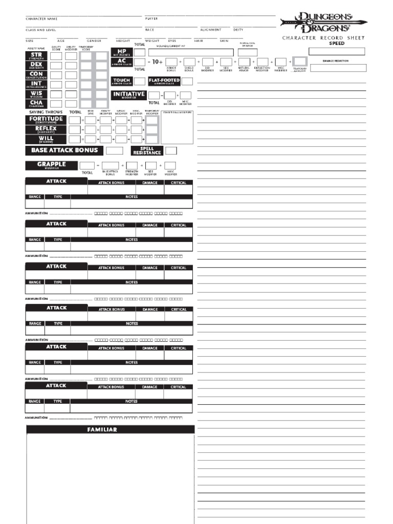 Custom Dungeons and Dragons Character Sheet
