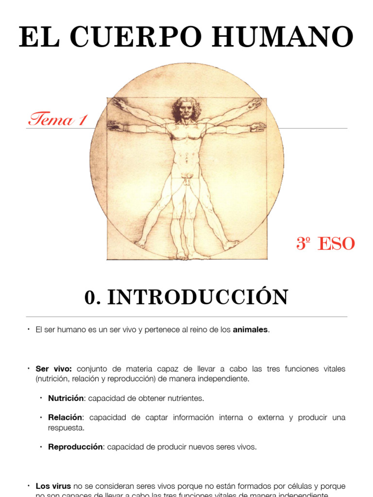 t1. El Cuerpo Humano | PDF | Carbohidratos | Epitelio
