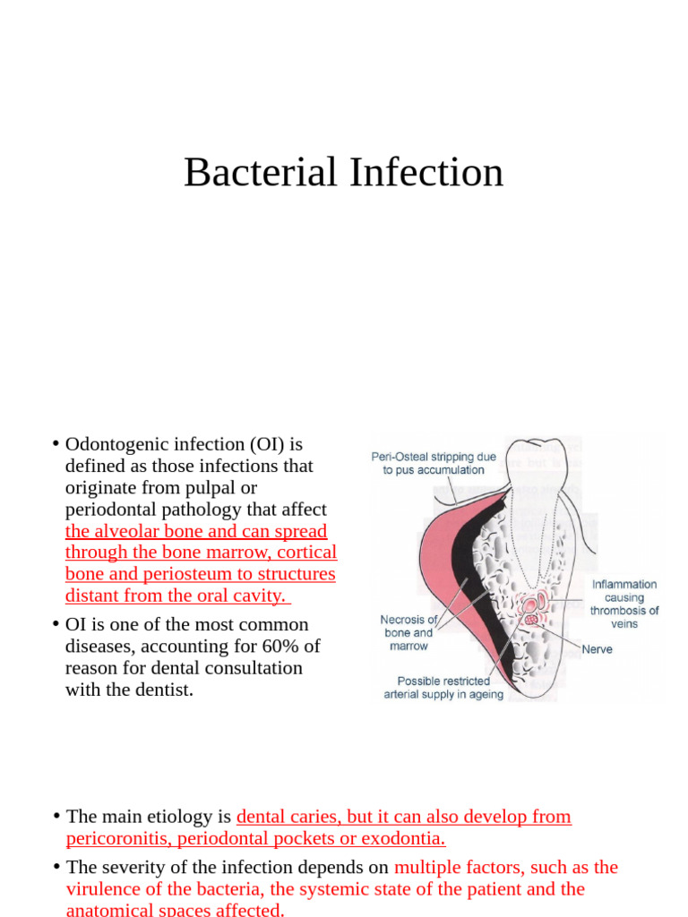1 Bacterial Infection | PDF | Tuberculosis | Immune System