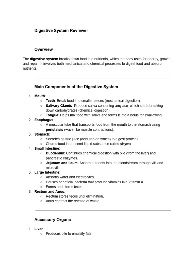 Digestive System Overview and Functions | PDF | Human Digestive System ...