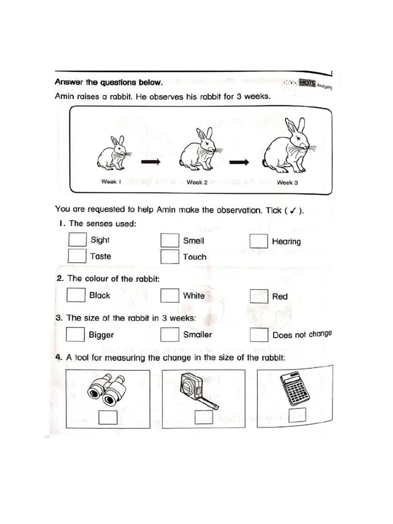 Worksheet 1 | PDF