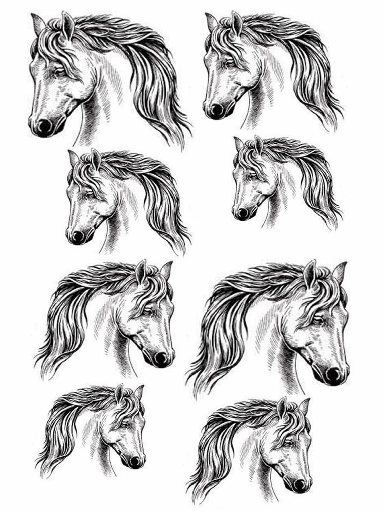 Horse | PDF
