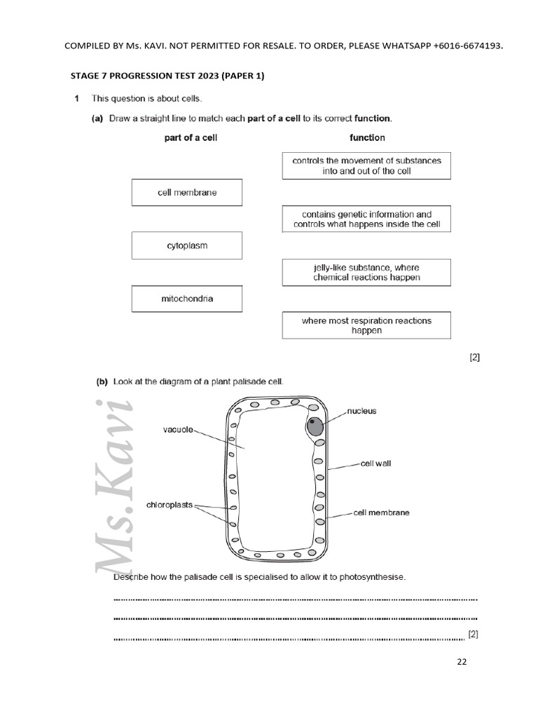 Stage 7 & 8 Progression Tests 2023 | PDF