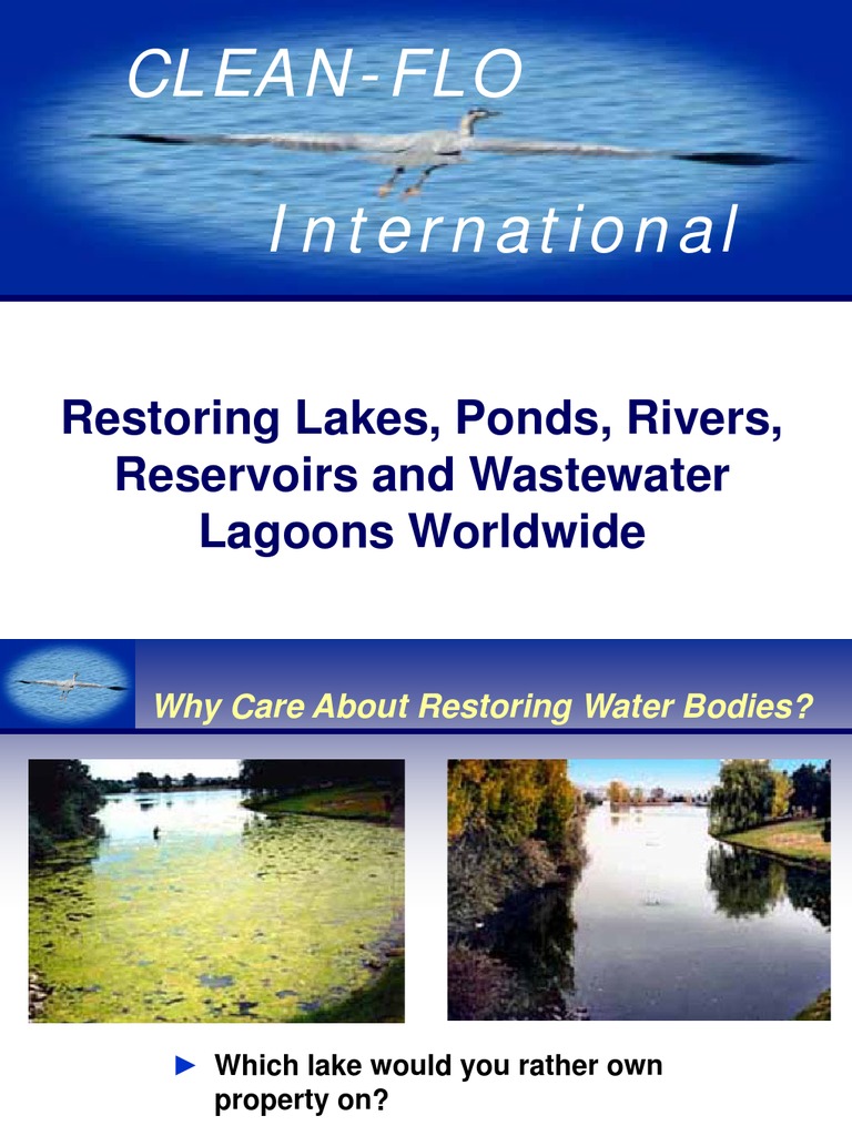 Clean-Flo International: Restoring Lakes, Ponds, Rivers, Reservoirs and ...