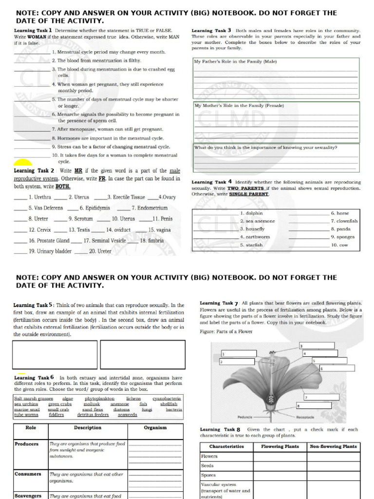 SCIENCE ACT WEEK 1-7 | PDF