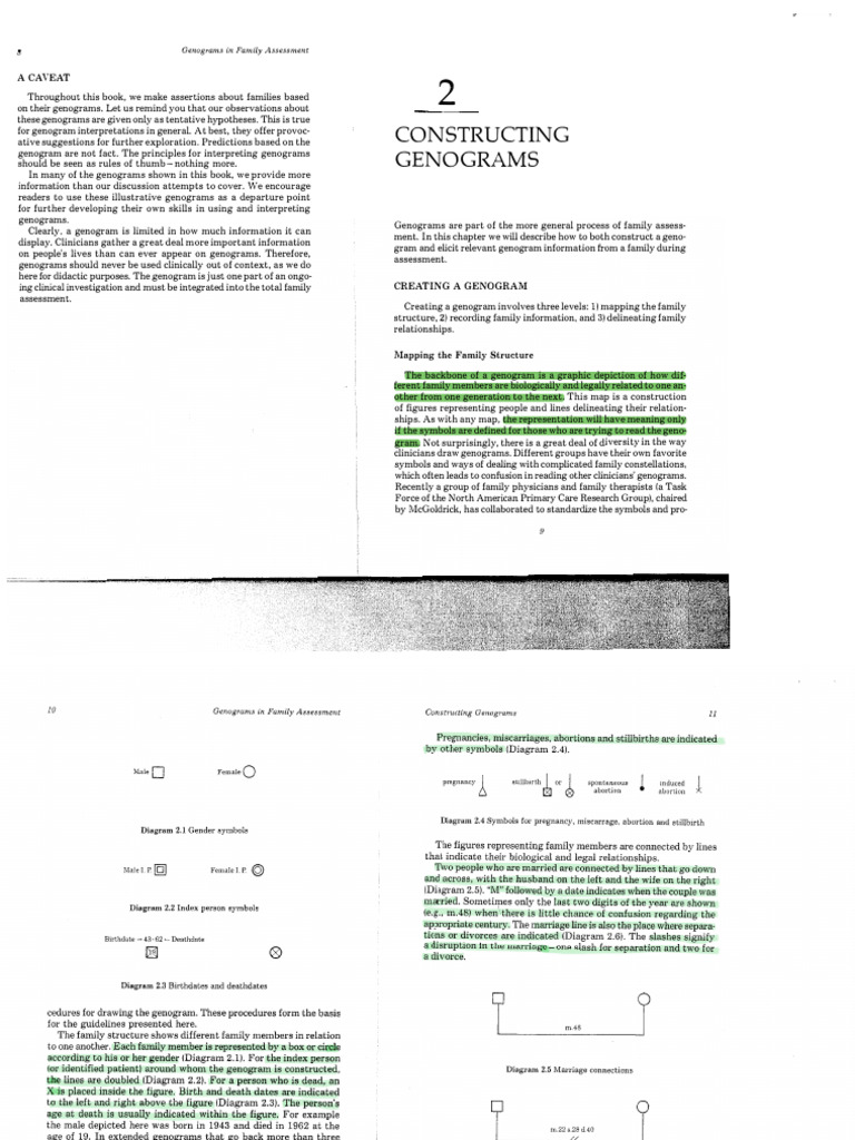 constructing-genograms | PDF | Information | Psychology