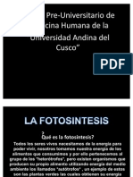 La Fotosintesis