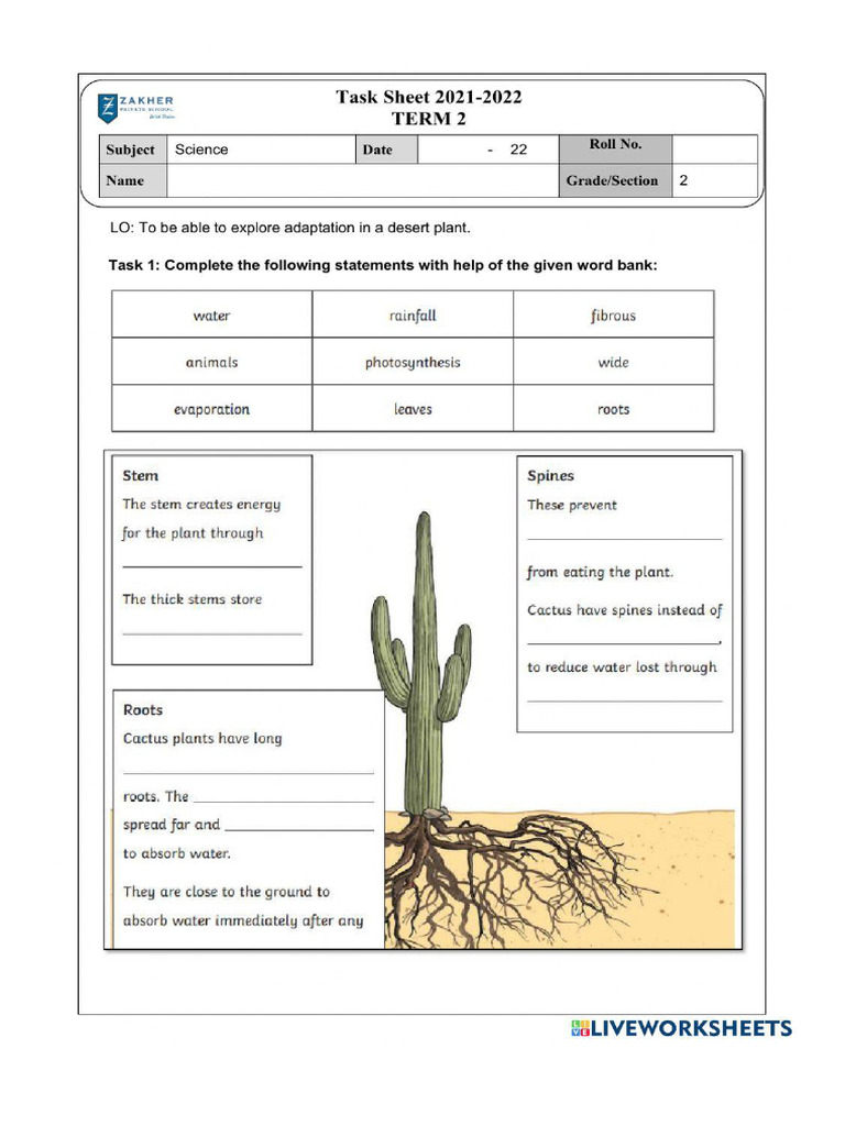 Worksheet 1768324 | PDF