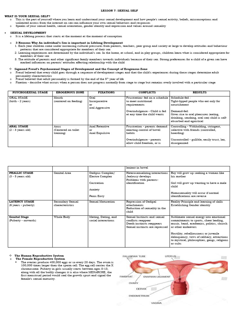 Lesson 7 - Sexual Self | PDF | Sexually Transmitted Infection | Birth ...