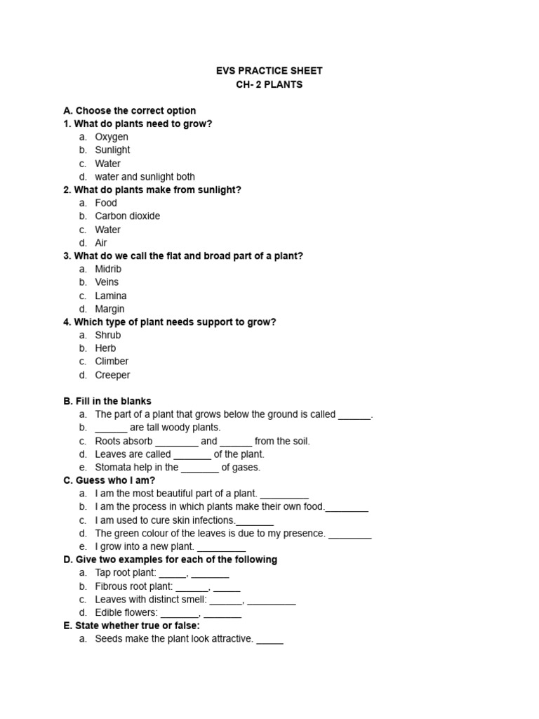 Plants EVS Practice Sheet for Kids | PDF
