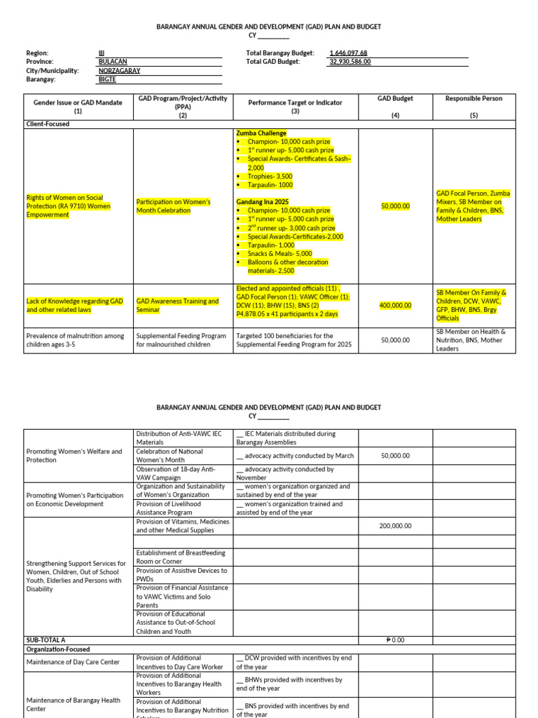 Barangay GAD Plan and Budget 2025 | PDF
