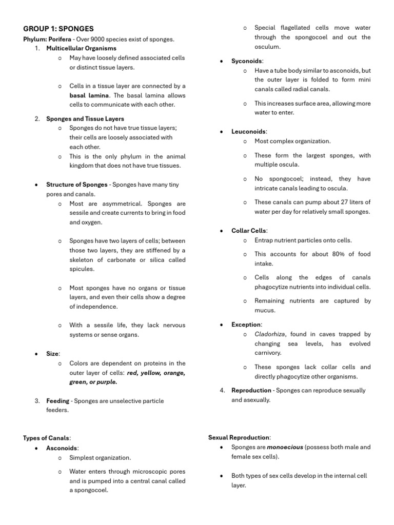 Systematics and Taxonomy Reviewer G1 7 | PDF | Sponge | Mollusca