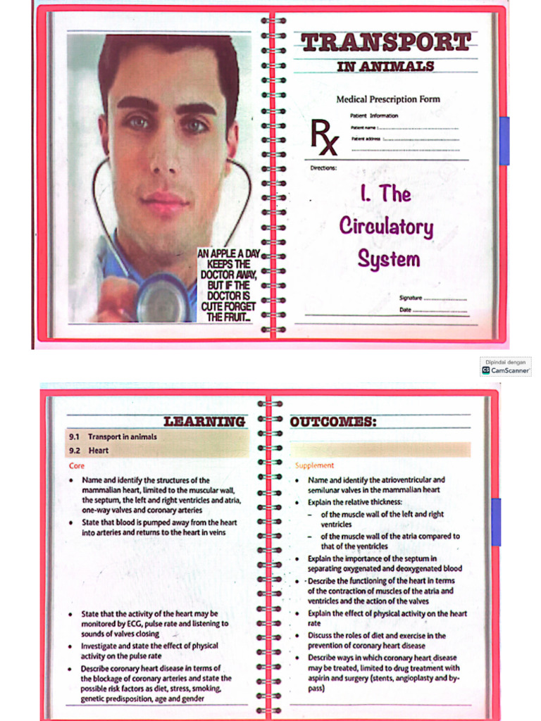 Transport in Animal Notes | PDF