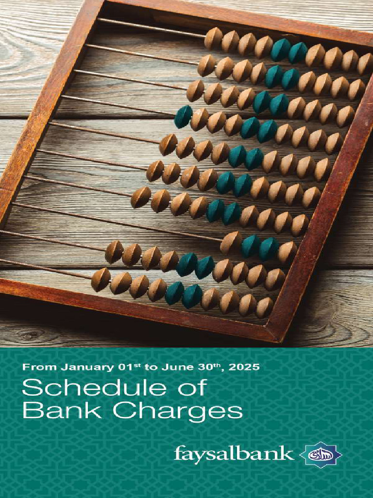 SOCJanJun2025Eng PDF Transaction Account Banks