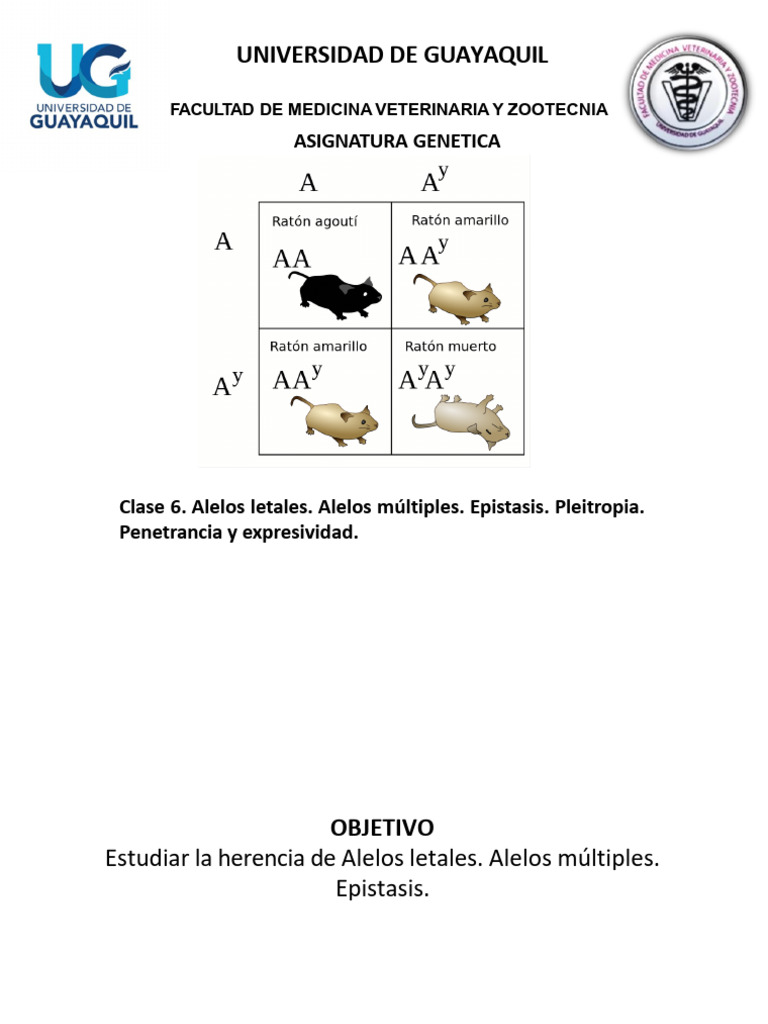 Herencia de Alelos Letales y Epistasis | PDF | Alelo | Epistasis