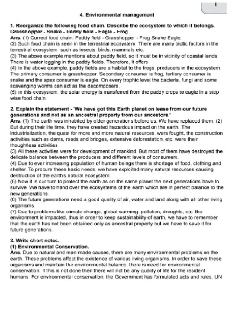 4 Management | PDF