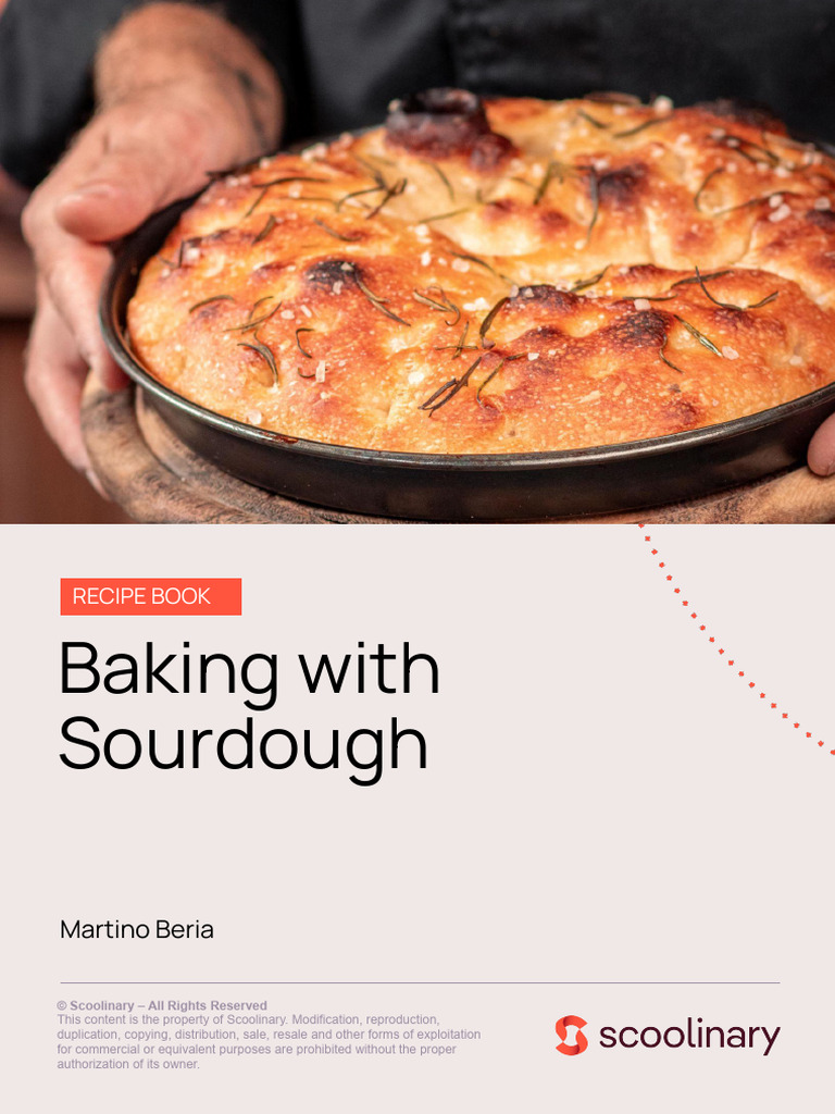 Sourdough visual data 4