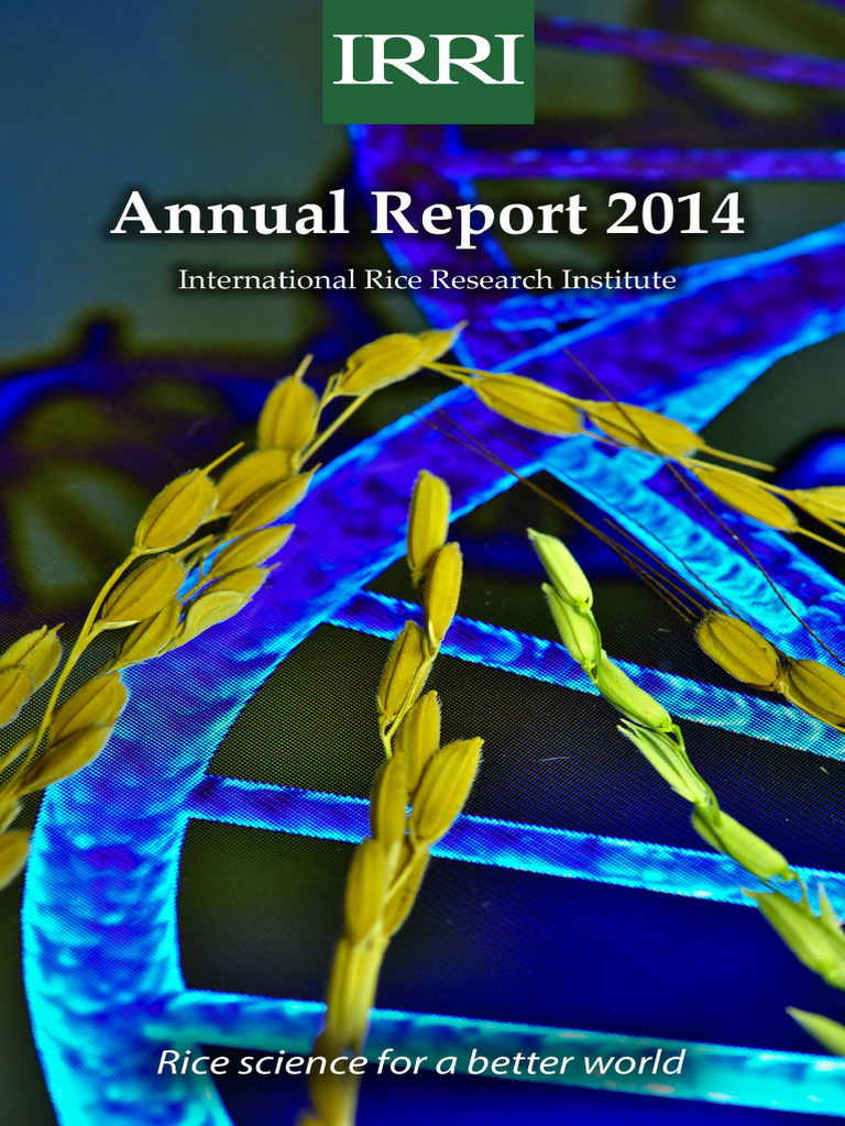 International Rice Research Centre In India