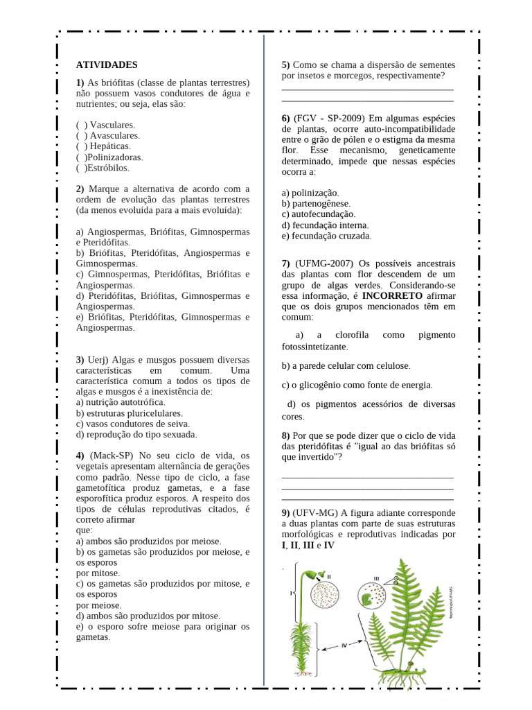 Atividades sobre Briofitas e Pteridófitas | PDF | Reprodução vegetal ...