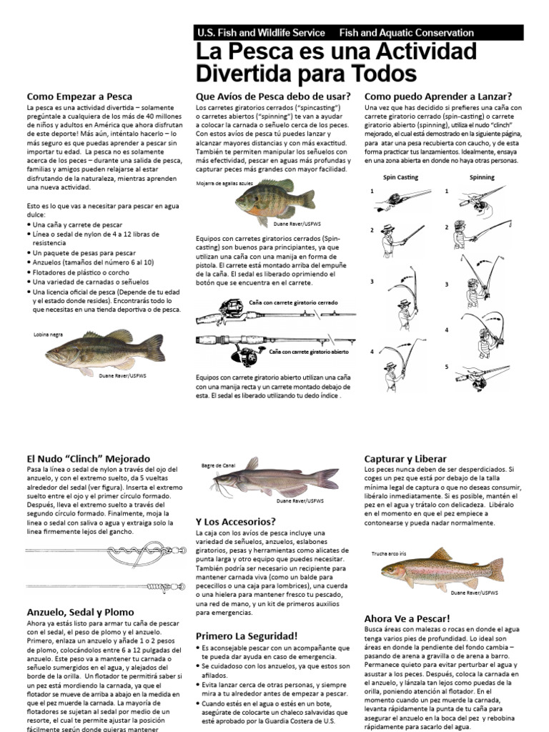La Pesca Es Una Actividad Divertida para Todos (Artículo) Autor U.S ...