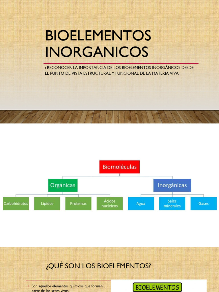 Bioelementos Inorgánicos 8° Básico | PDF