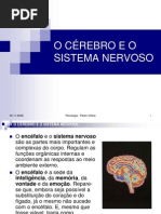 o sistema nervoso