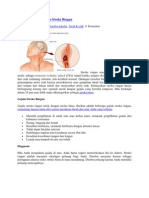 Gejala Dan Penanganan Stroke Ringan