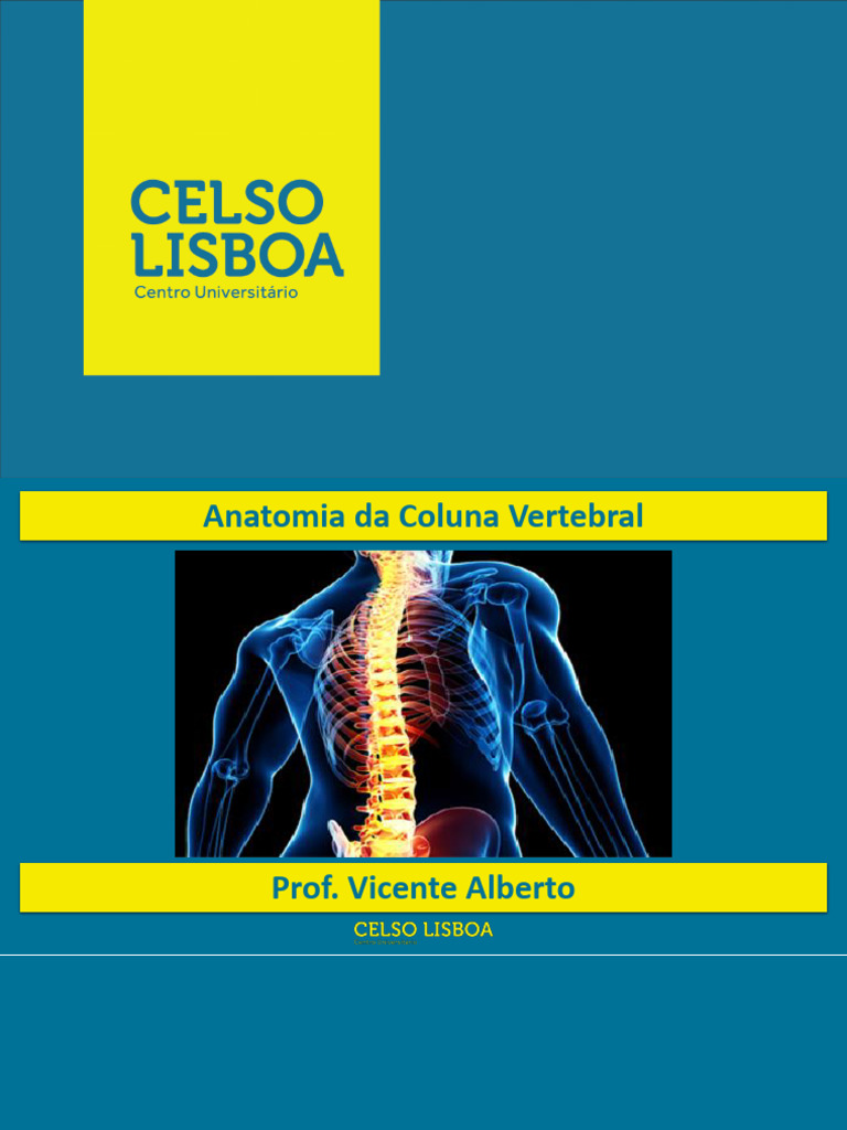 Anatomia da Coluna Vertebral Explicada | PDF | Coluna vertebral | Vértebra
