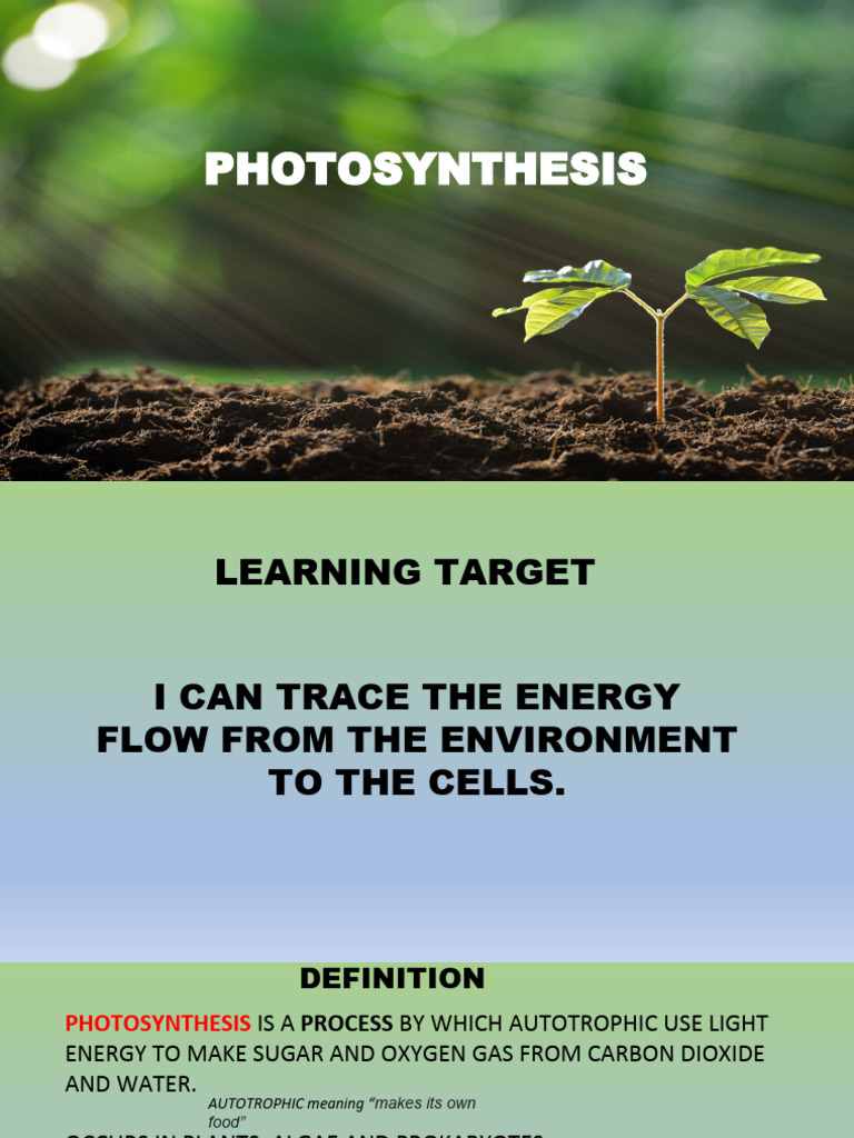 Understanding Photosynthesis Process | PDF | Photosynthesis | Chloroplast