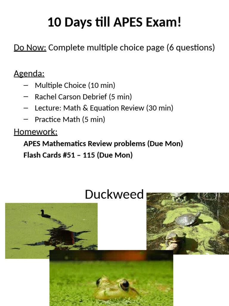 Apes Math Review and Equations | PDF | Multiplication | Watt