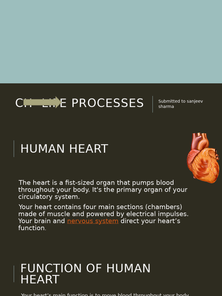 Ch- Life Processes | PDF | Heart | Atrium (Heart)