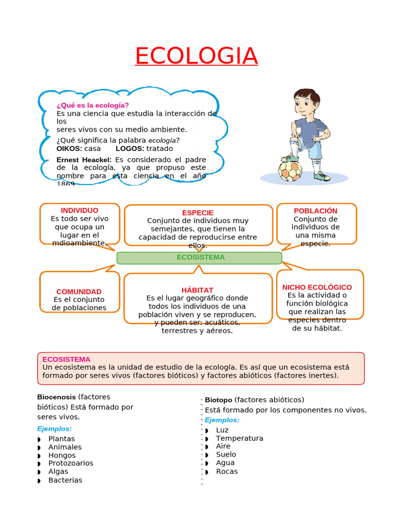Mapa Mental de Ecología para Niños | PDF | Ecología | Ecosistema