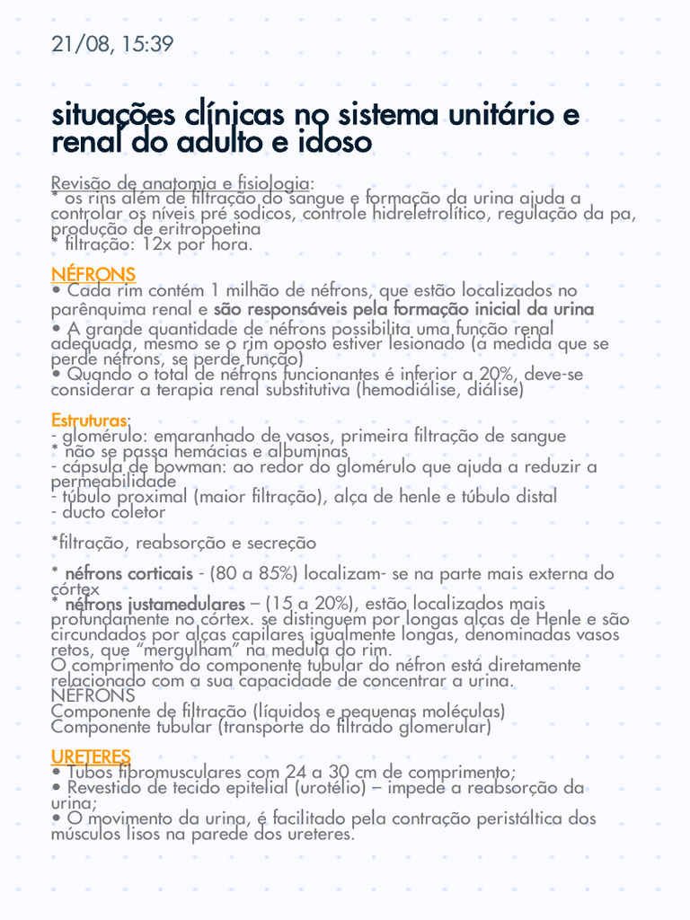 Funções e Avaliação do Sistema Renal | PDF | Rim | Urologia