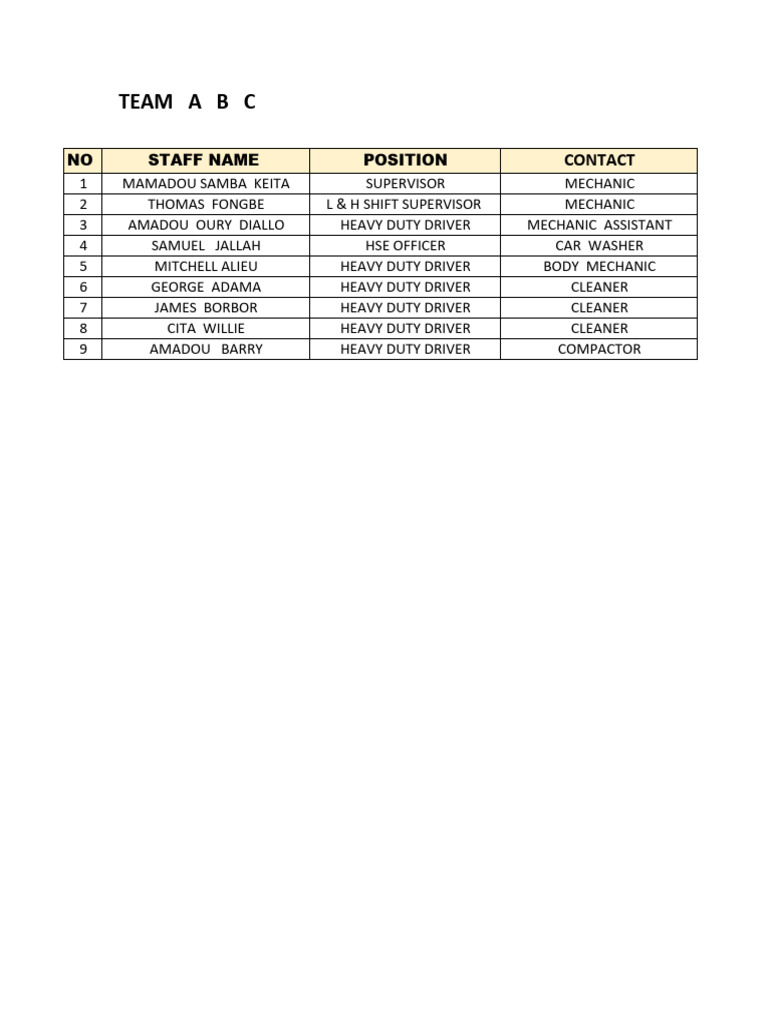 Team Abc | PDF
