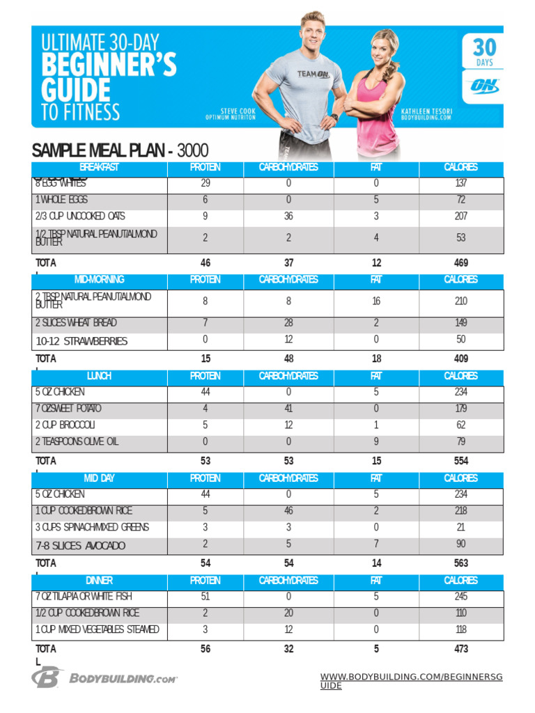 3000-Calorie Meal Plan Guide | PDF | Fat | Foods
