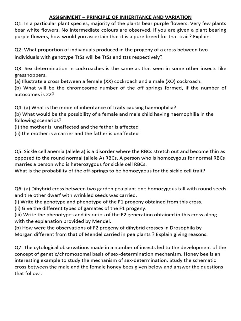 ASSIGNMENT - PRINCIPLE OF INHERITANCE AND VARIATION | PDF | Genotype ...