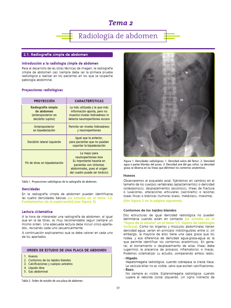 ABDOMEN Rx-Eco-TAC | PDF | Abdomen | Tracto gastrointestinal