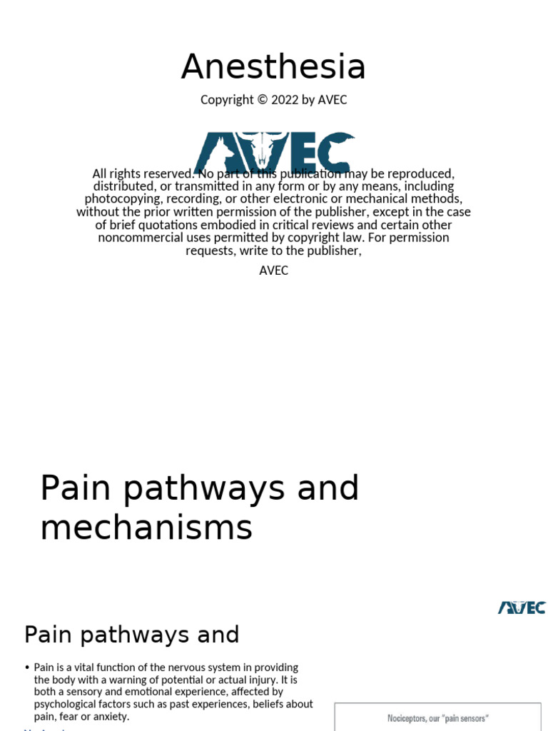 Avec Anesthesia Pdf Pain Anesthesia