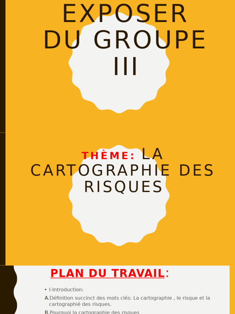 Cartographie des Risques : Guide Complet | PDF | Risque | Gestion des ...
