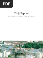 Cluj Napoca